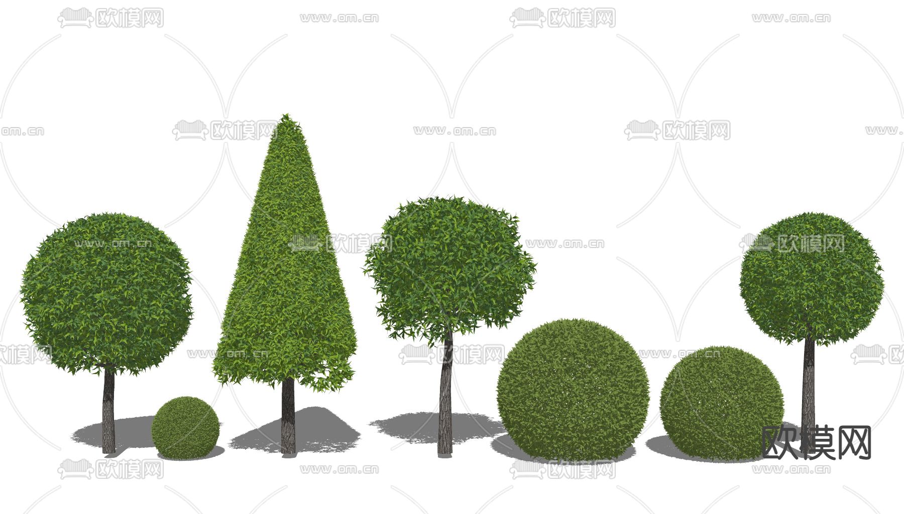 灌木 灌木球su模型