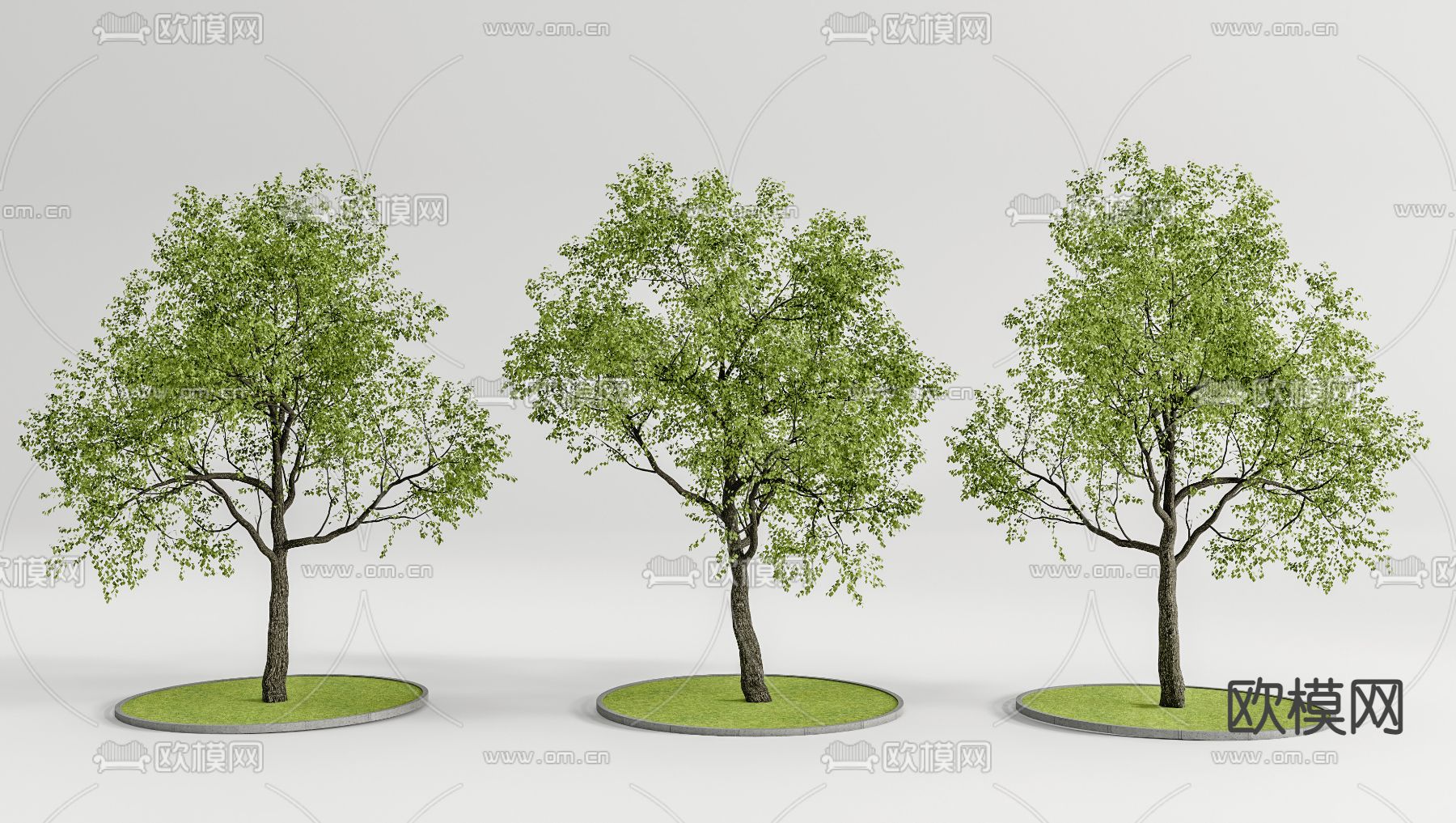 景观树 乔木 su模型