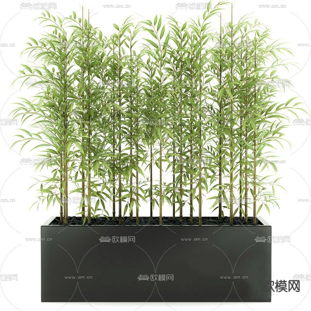 翠竹盆栽免费3d模型下载_ID13022988_3dmax免费模型-欧模网