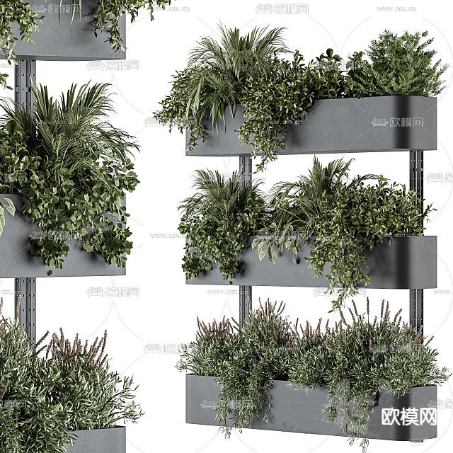 墙饰盆栽免费3d模型下载