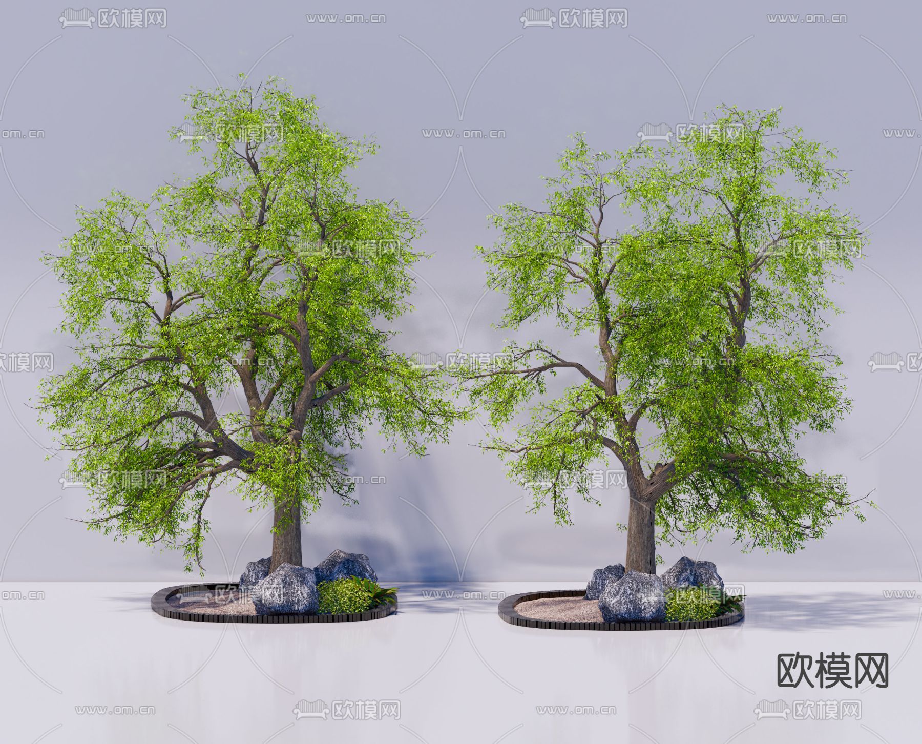景观树 大树 老树 石头 行道树su模型