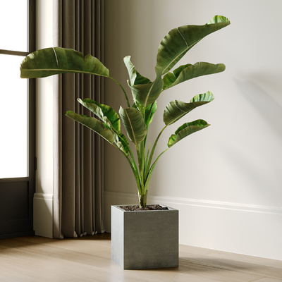  侘寂风绿植盆栽su模型 