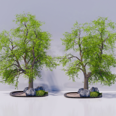 景观树 大树 老树 石头 行道树su模型