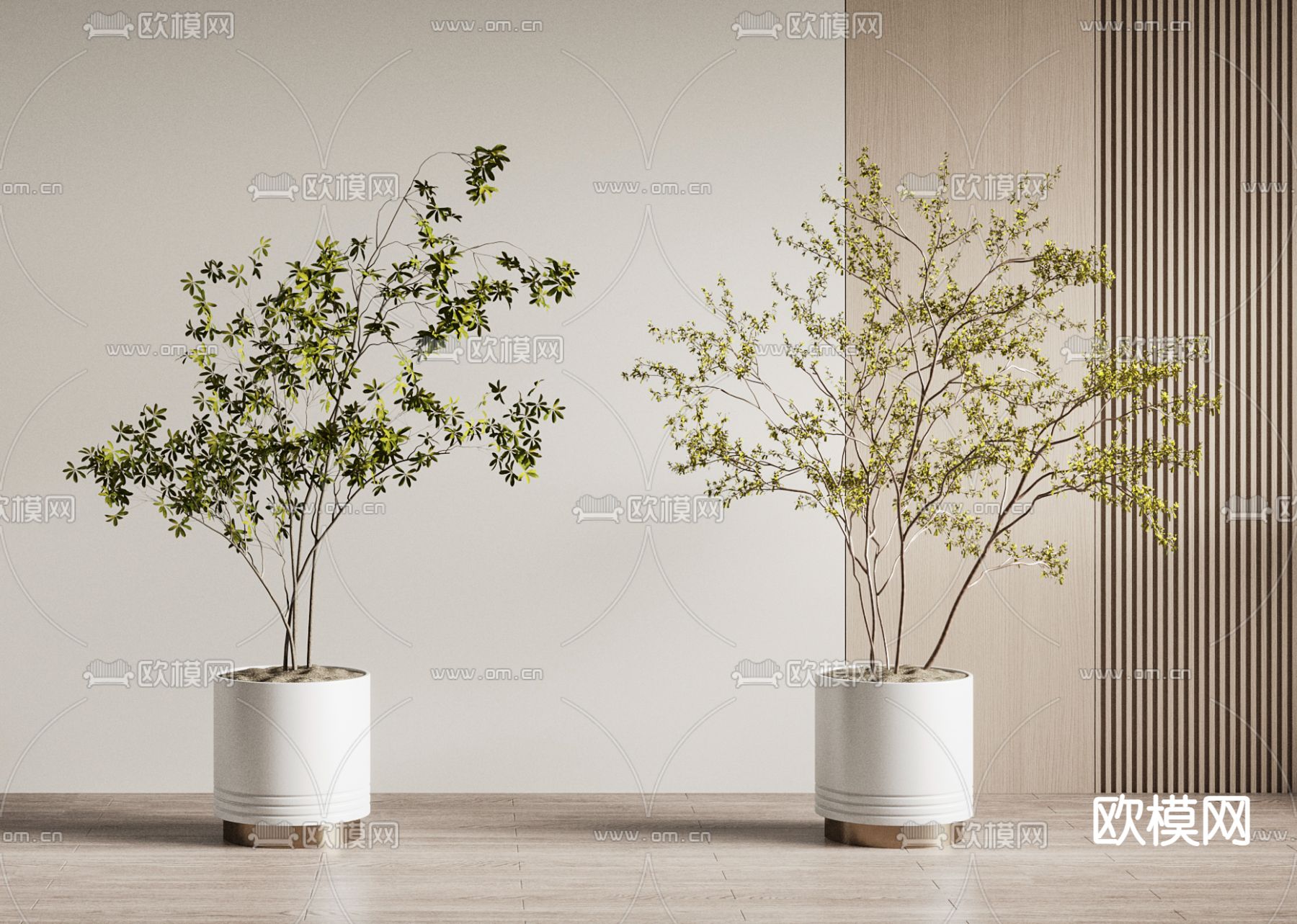 绿植盆栽 盆景su模型下载（渲染图1）