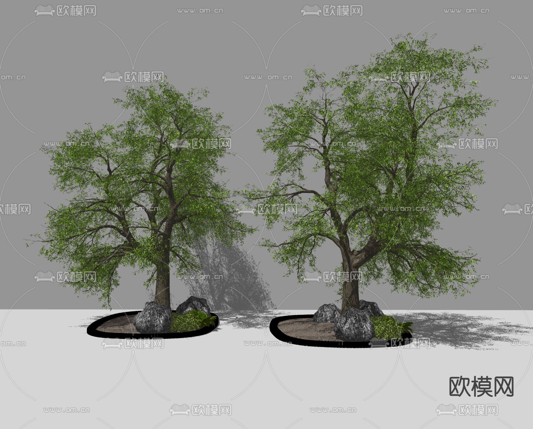 景观树 大树 老树 石头 行道树su模型
