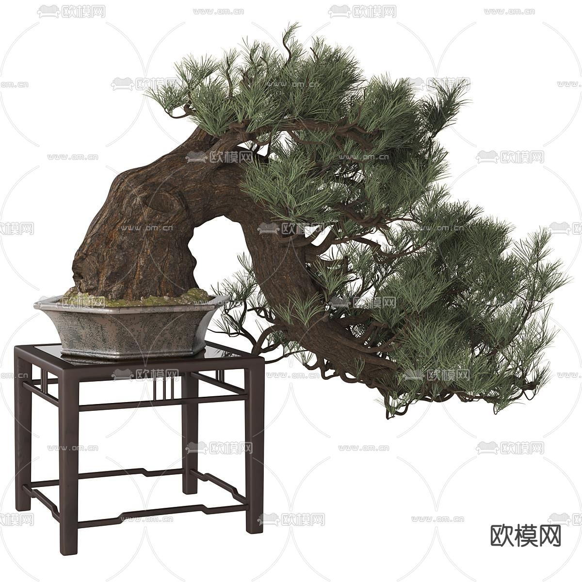 新中式松树盆栽 盆景3d模型下载
