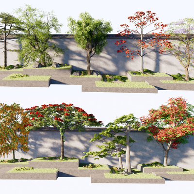 景观树 乔木  凤凰木su模型