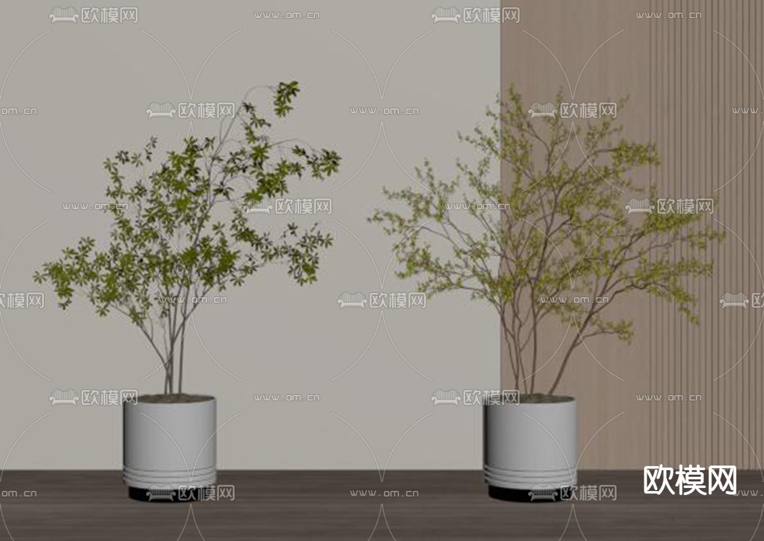 绿植盆栽 盆景su模型下载（渲染图2）