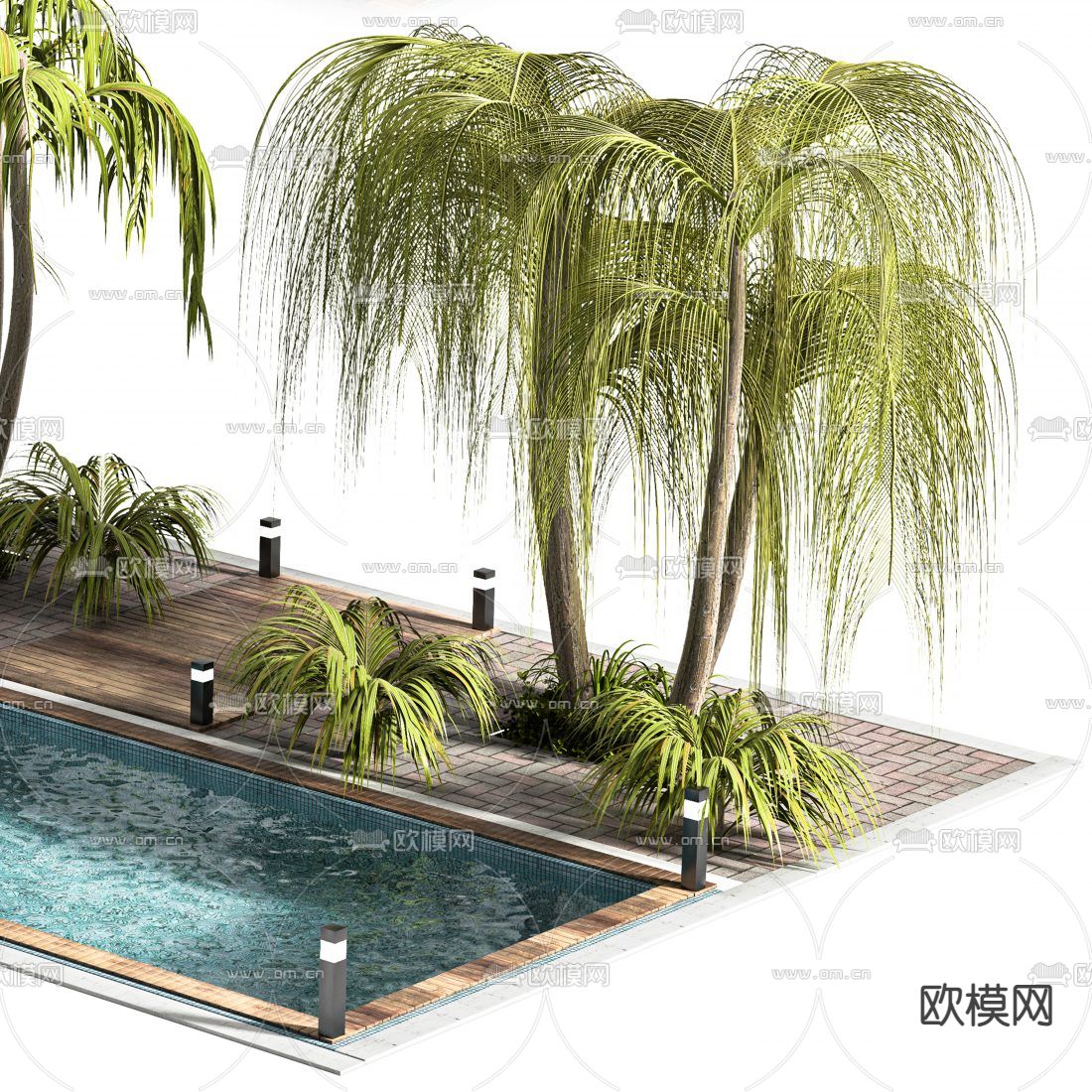游泳池 休闲花园3d模型