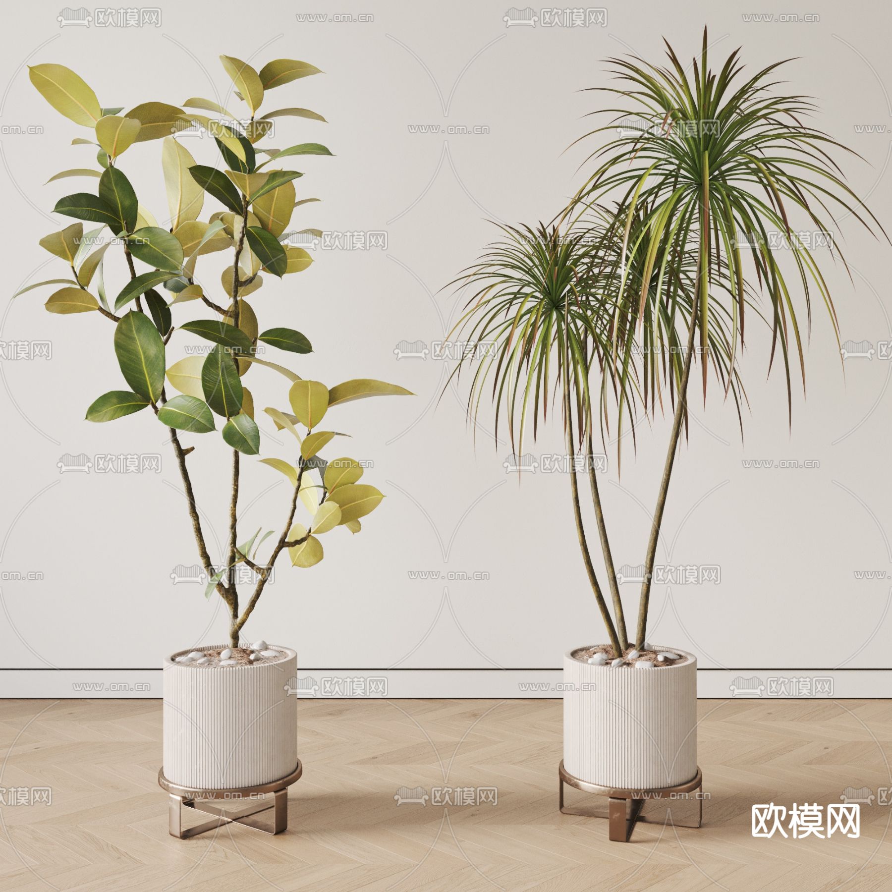 绿植盆栽 盆景3d模型下载_ID13025820_3dmax免费模型-欧模网