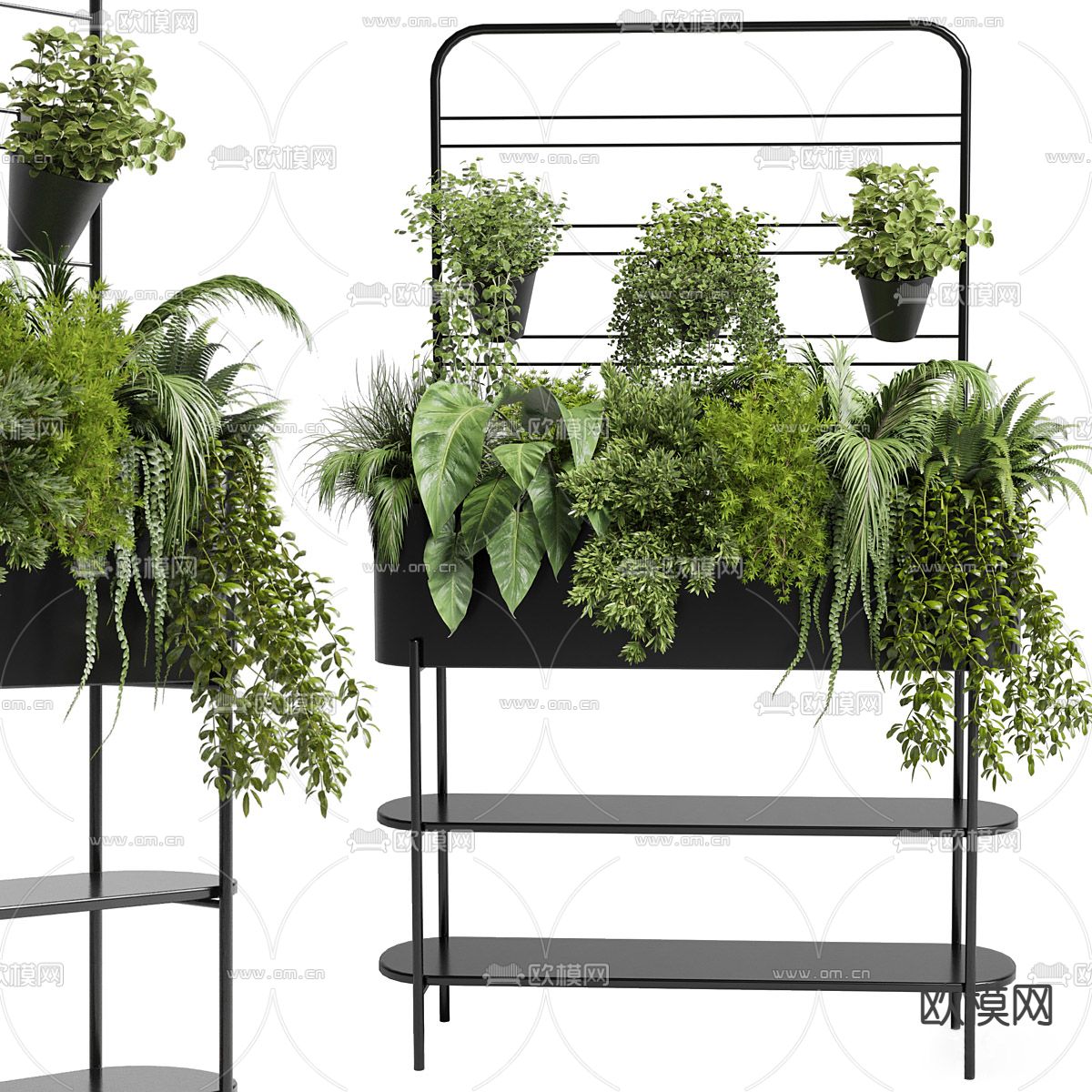绿植墙 盆栽 吊篮3d模型