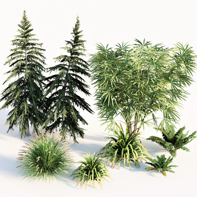  灌木植物 矮绿植su模型 