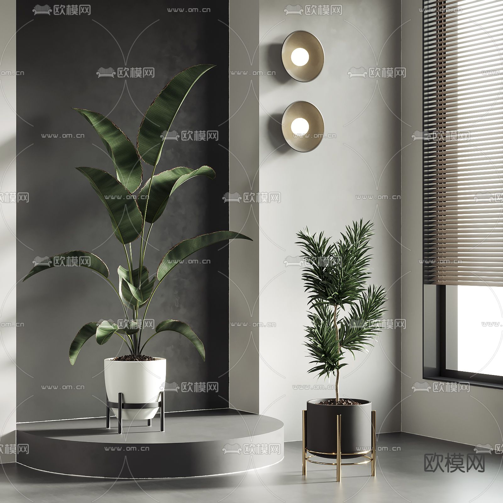 植物盆栽 盆景su模型