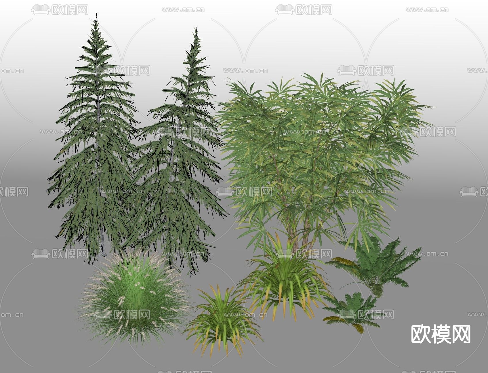 灌木植物 矮绿植su模型下载（渲染图2）