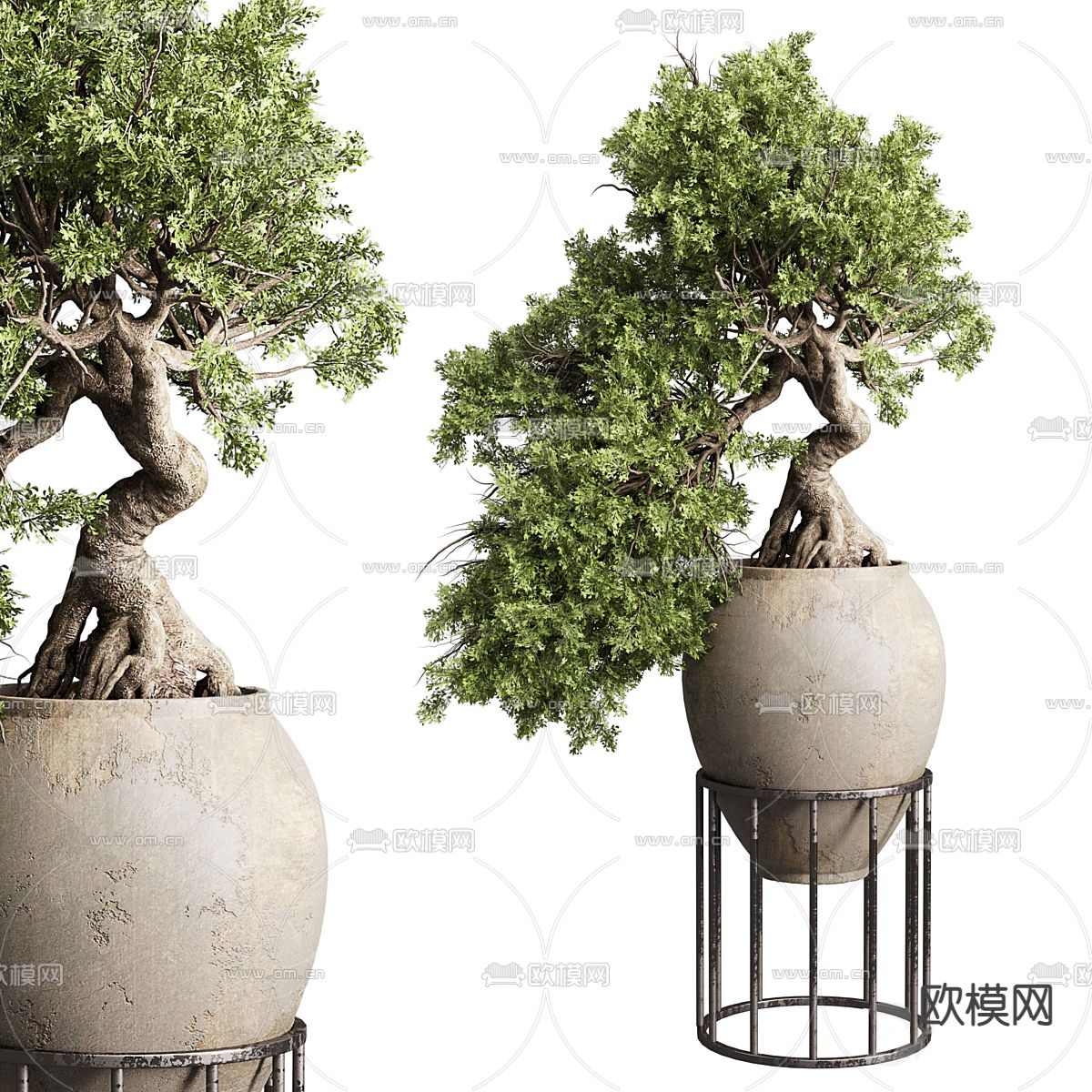 新中式盆栽 松树盆景3d模型下载_ID13029729_3dmax免费模型-欧模网
