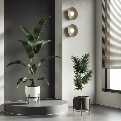 植物盆栽 盆景su模型