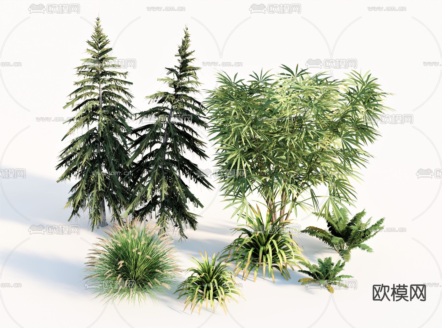 灌木植物 矮绿植su模型下载（渲染图1）