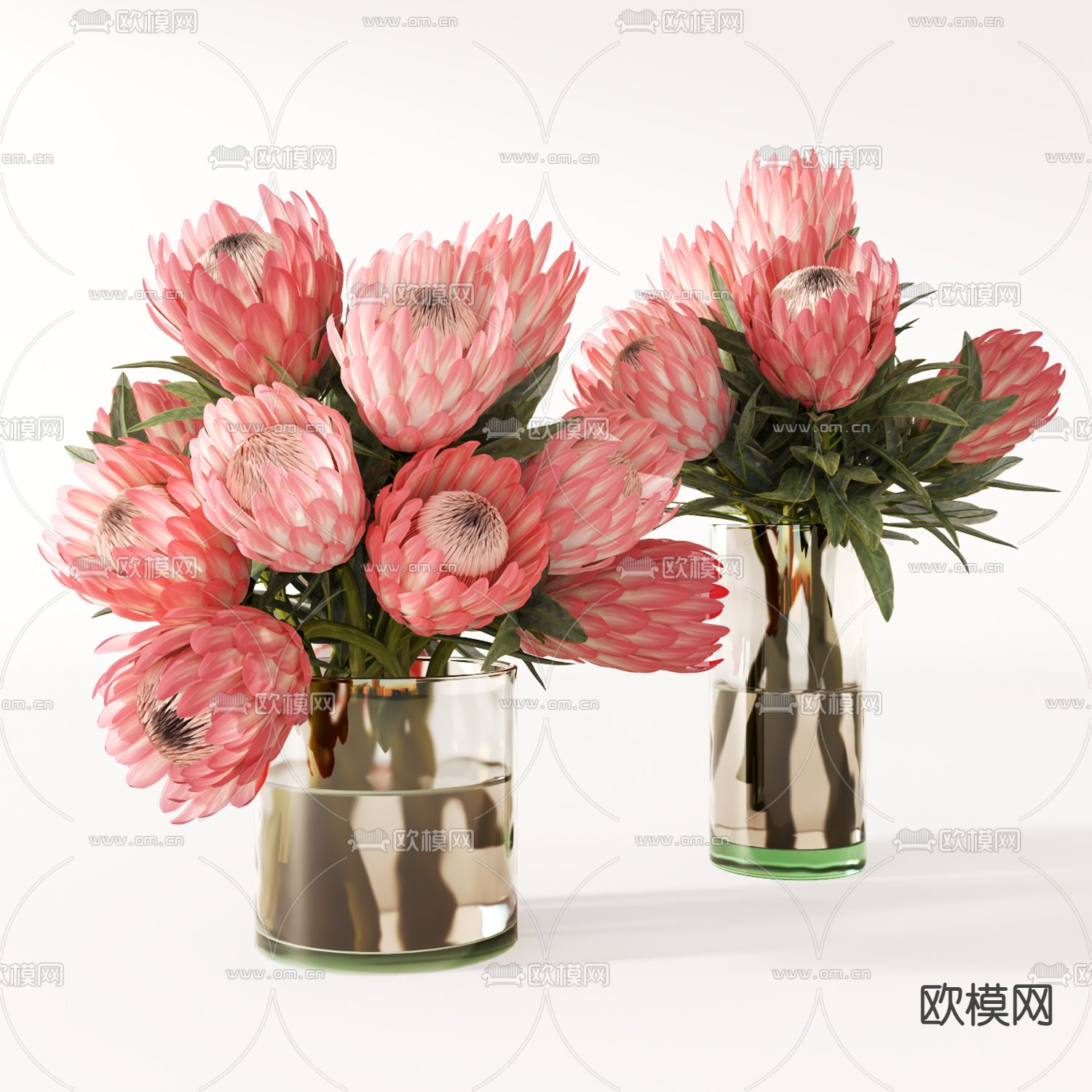 插花 水生植物 水培花卉3d模型下载