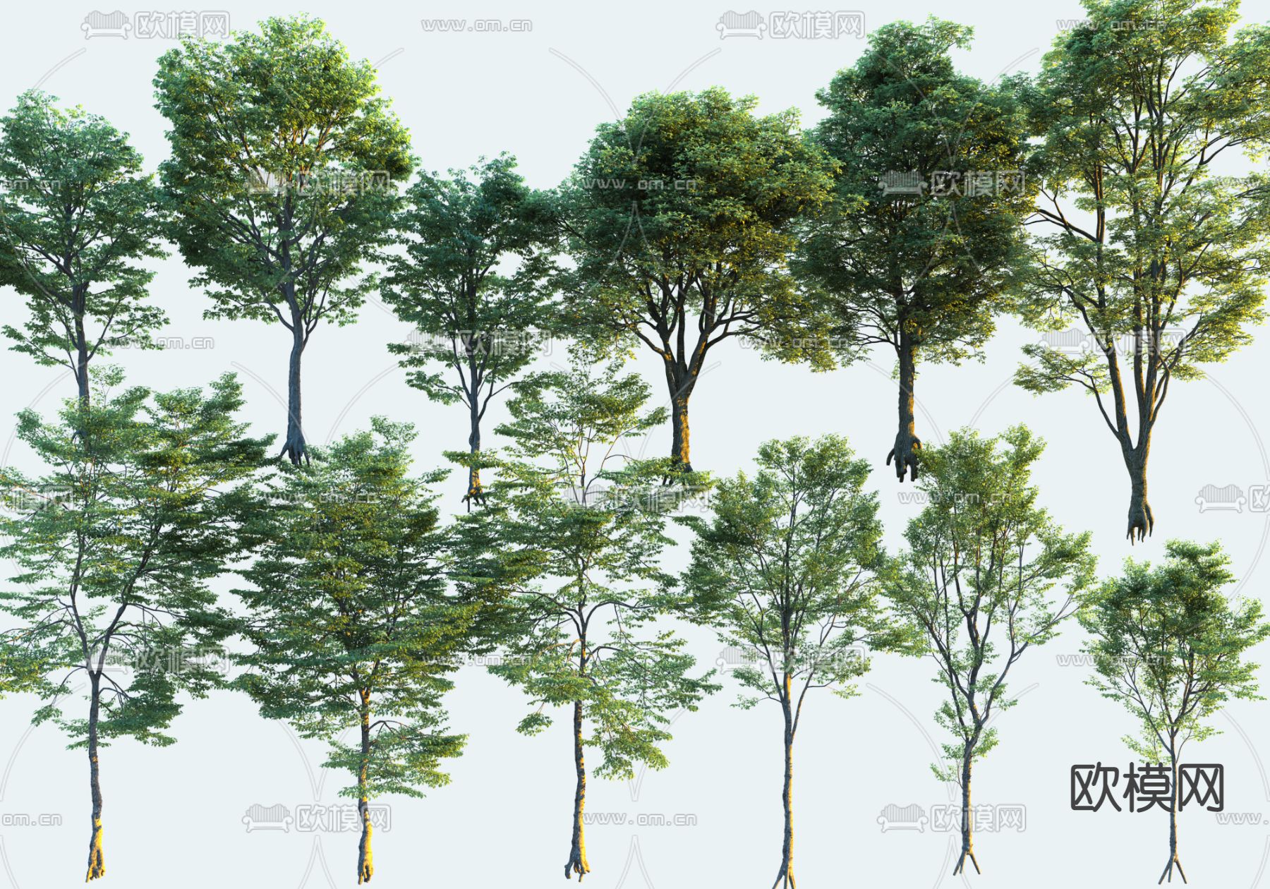 大树 景观树3d模型下载_ID13032827_3dmax免费模型-欧模网