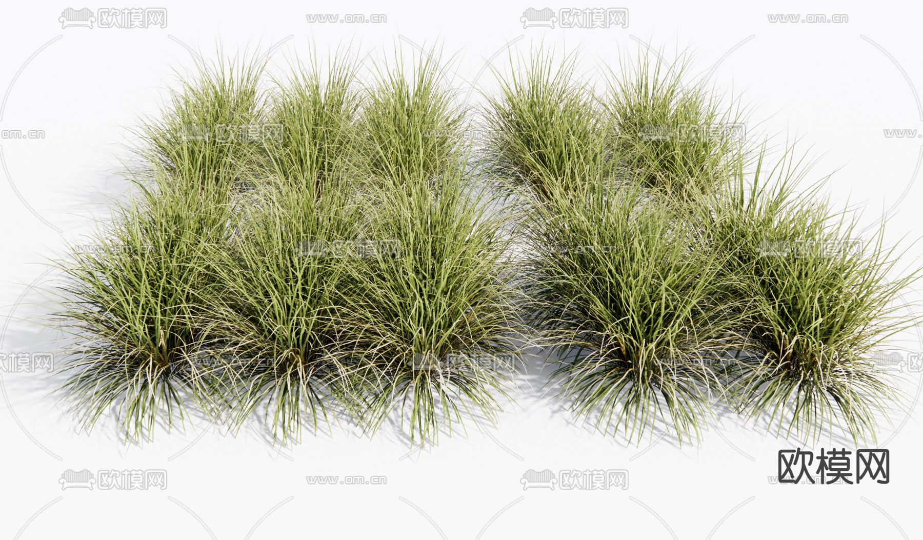 草丛 杂草 枯草su模型下载