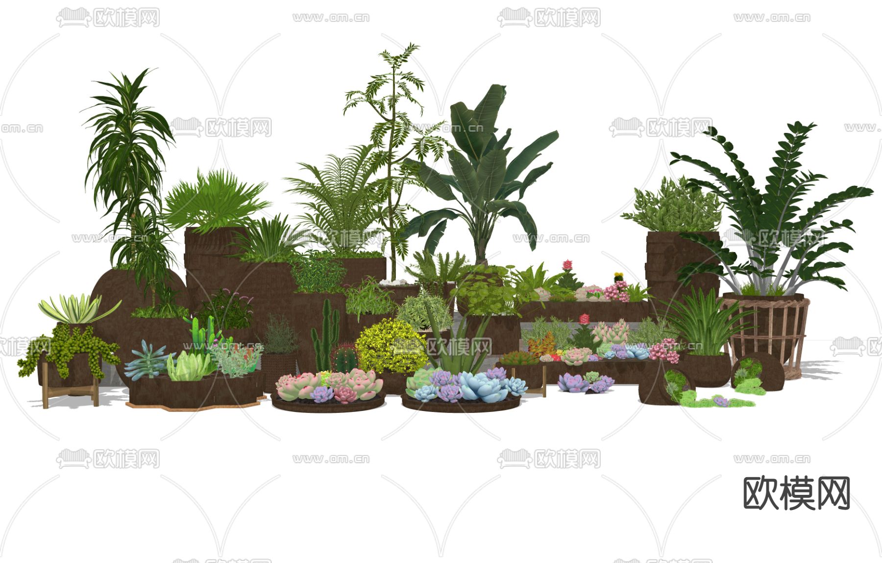 多肉植物 盆栽组合 植物盆景su模型下载（渲染图2）