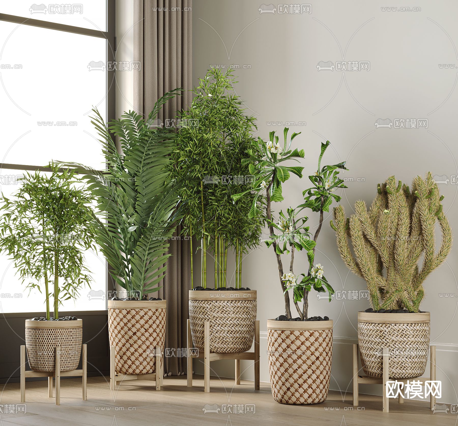 植物盆栽 盆景3d模型下载