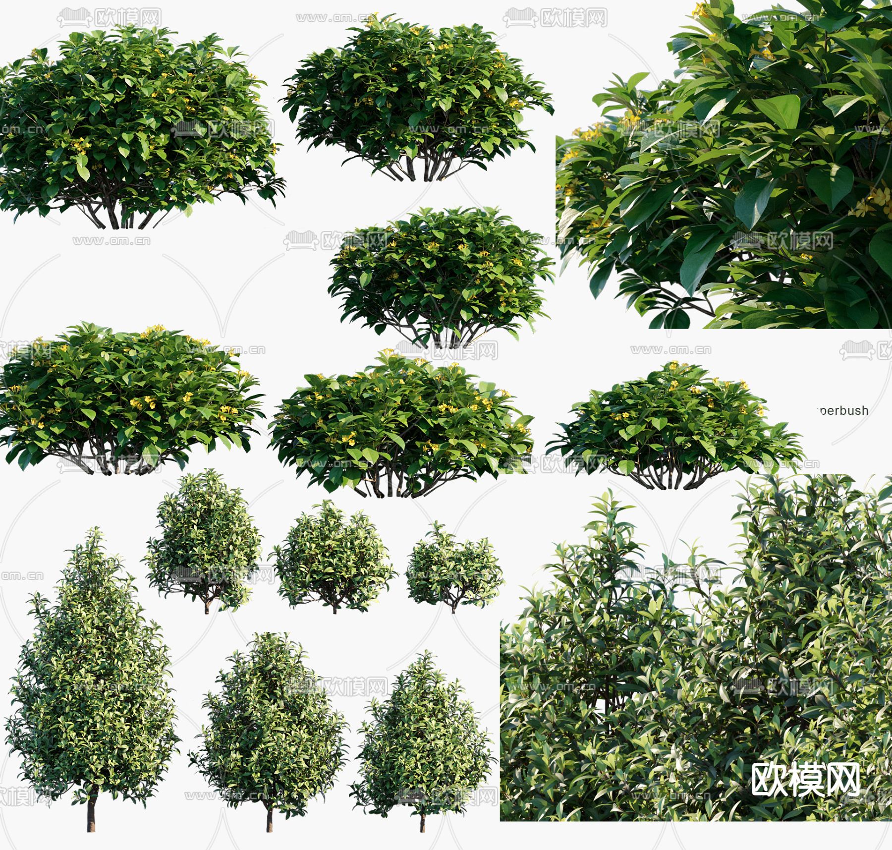 景观树 灌木3d模型下载_ID13034574_3dmax免费模型-欧模网