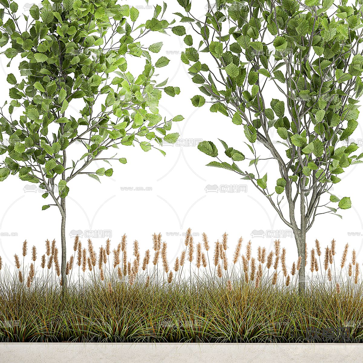 绿植花坛 花圃盆栽3d模型下载（渲染图4）