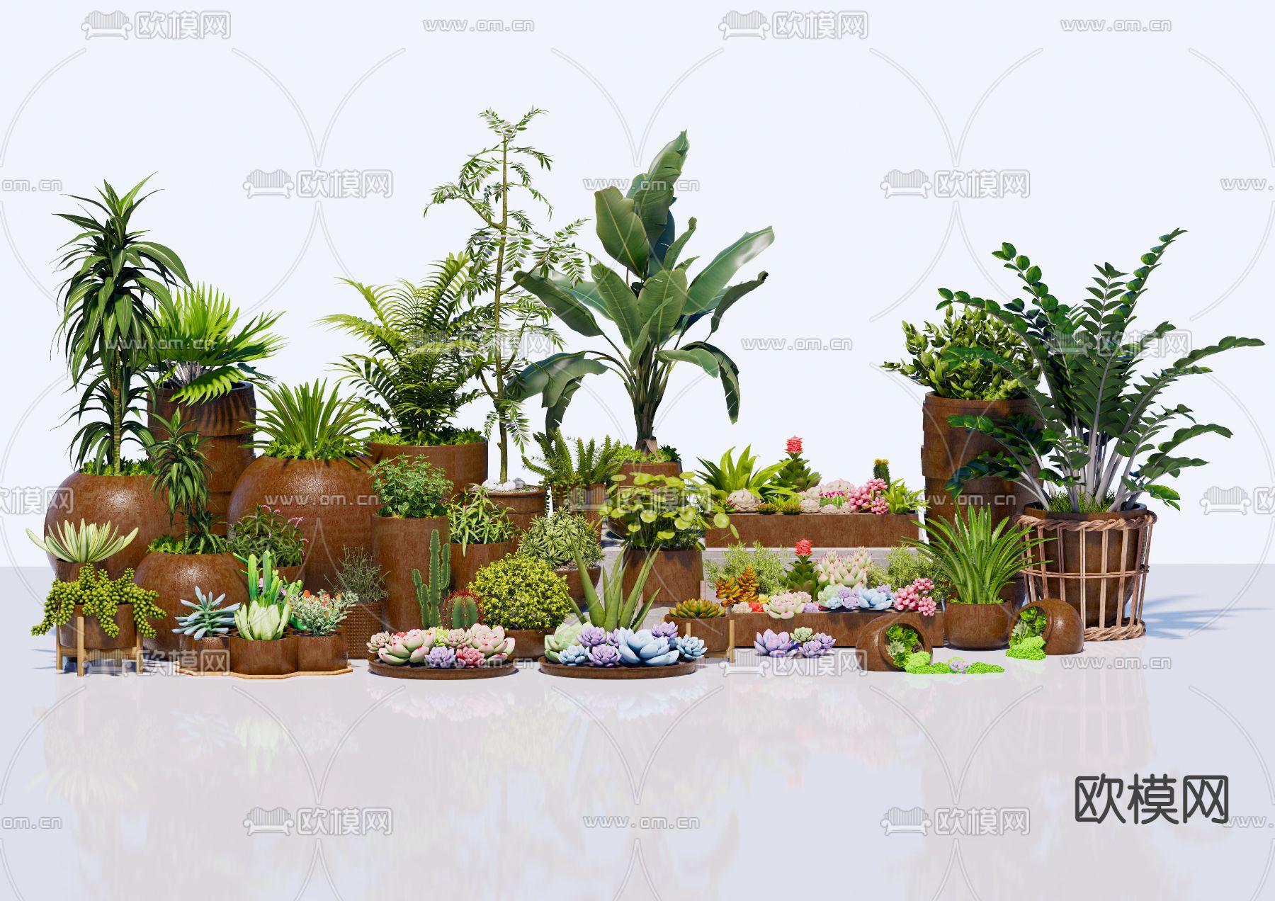 多肉植物 盆栽组合 植物盆景su模型下载（渲染图1）