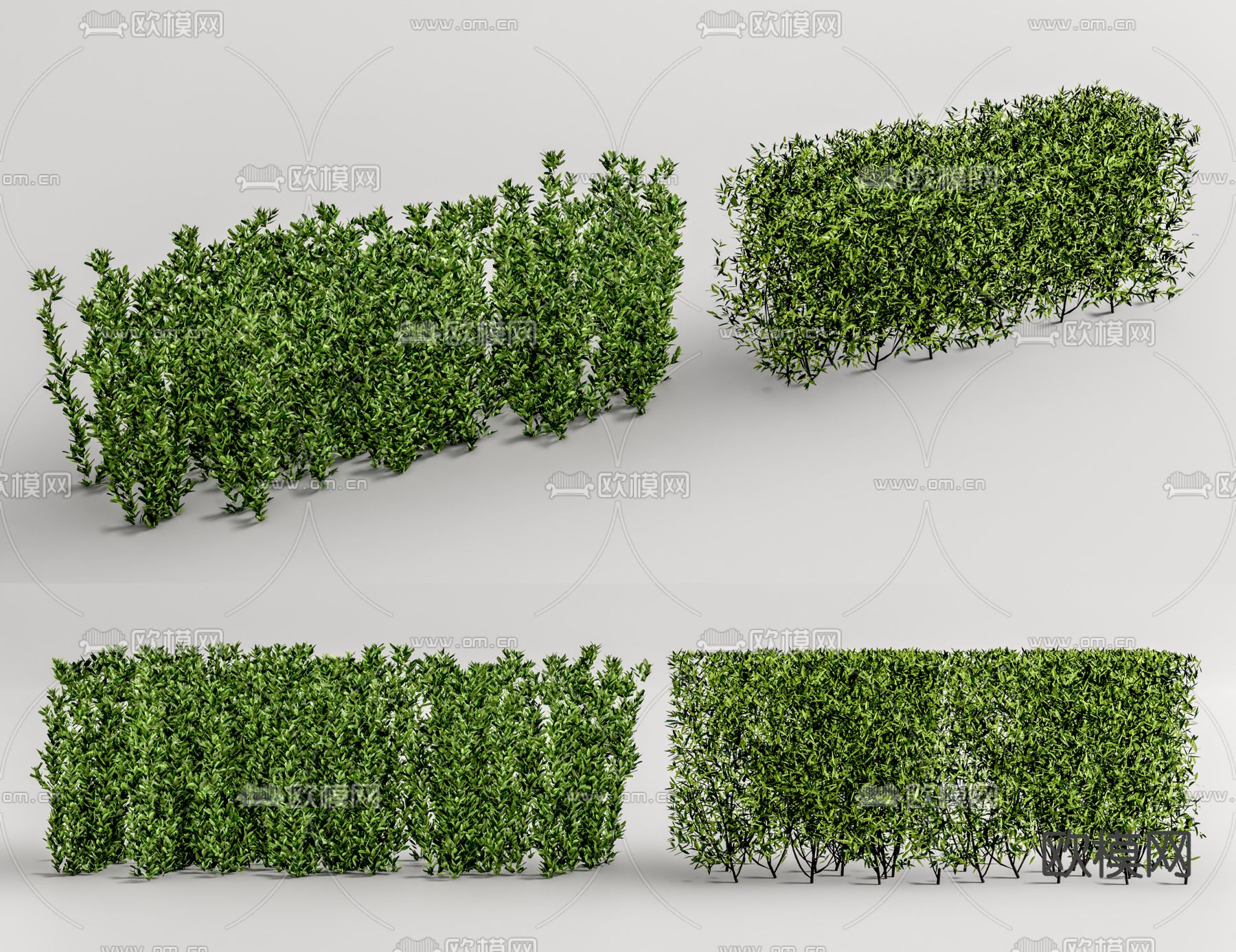 绿篱灌木su模型下载（渲染图1）