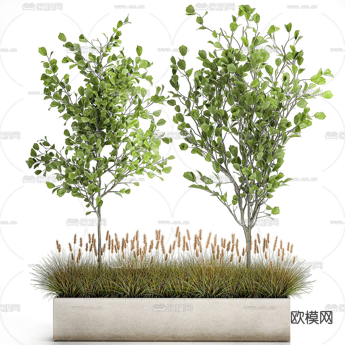 绿植花坛 花圃盆栽3d模型下载（渲染图1）