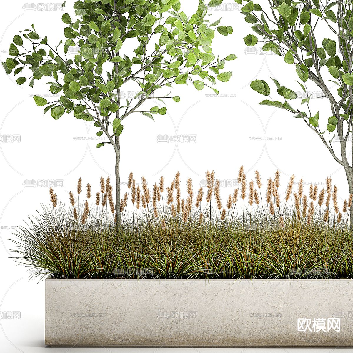 绿植花坛 花圃盆栽3d模型下载（渲染图2）