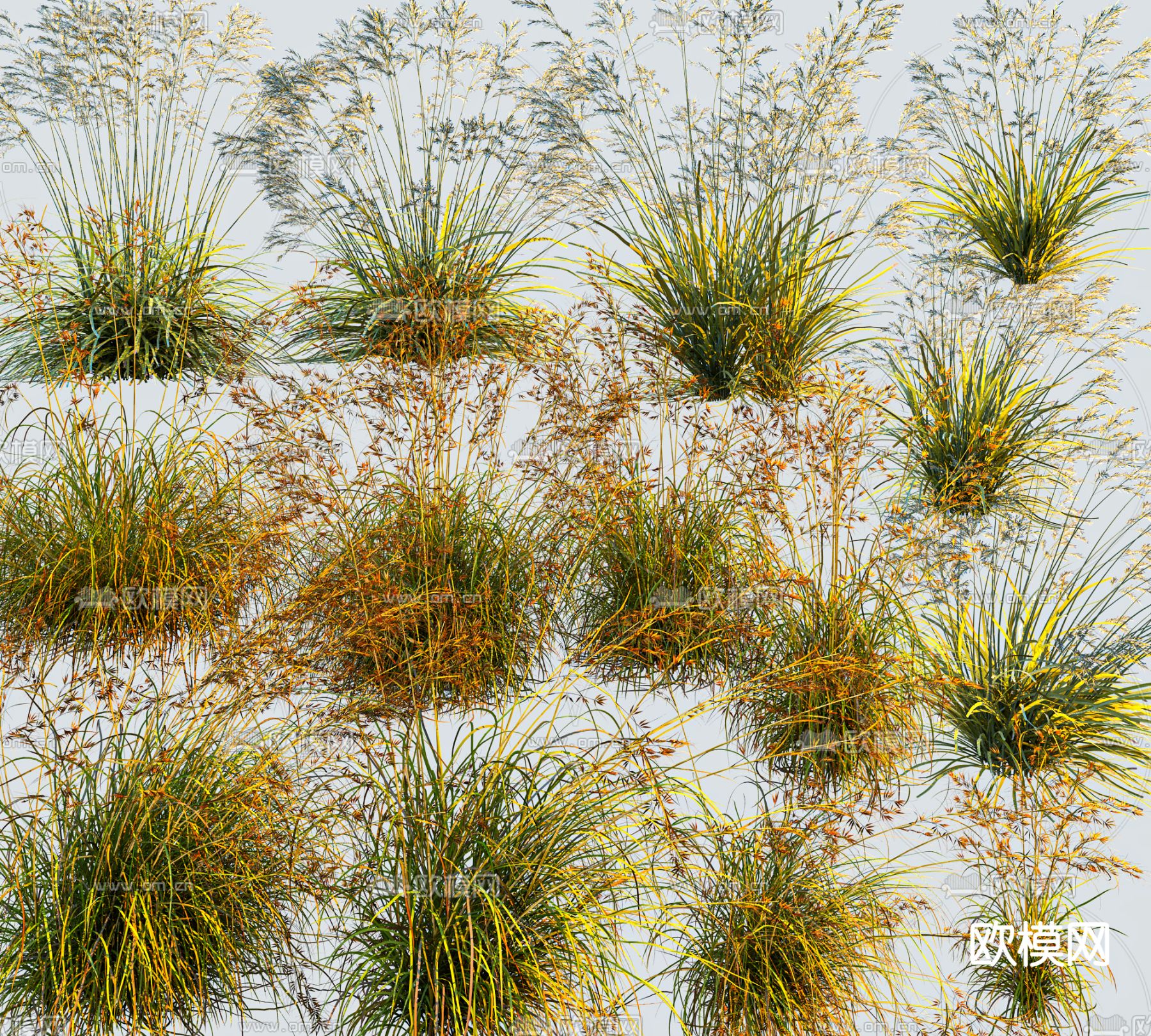 景观草 草丛3d模型下载