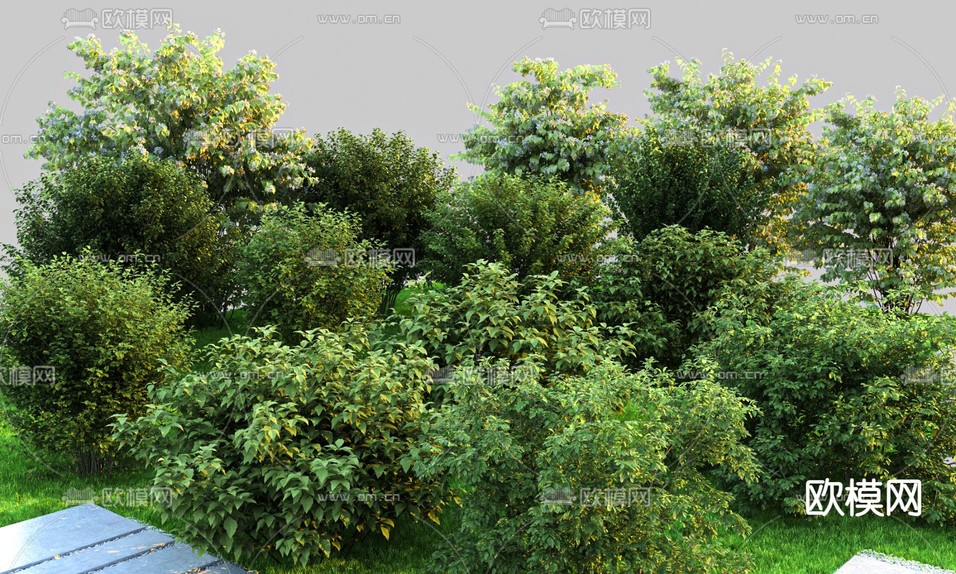 绿植 植物堆 灌木丛3d模型下载