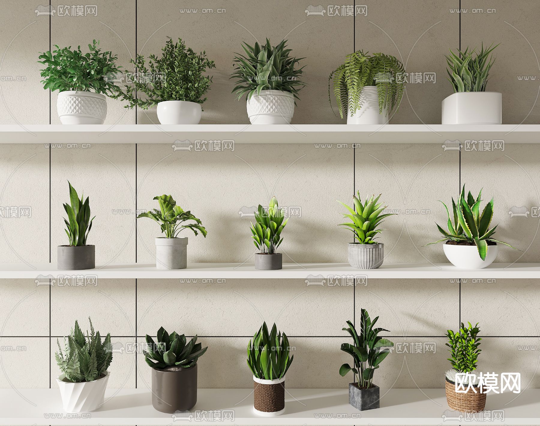 植物盆栽 盆景3d模型下载_ID13033735_3dmax免费模型-欧模网