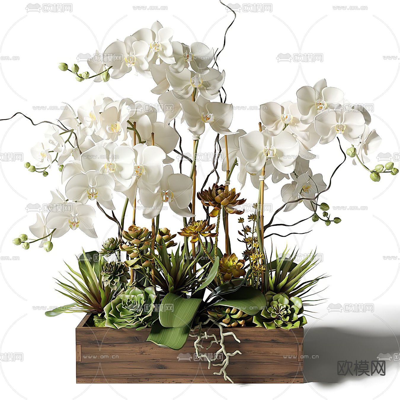 兰花盆栽 花卉3d模型下载_ID13038129_3dmax免费模型-欧模网