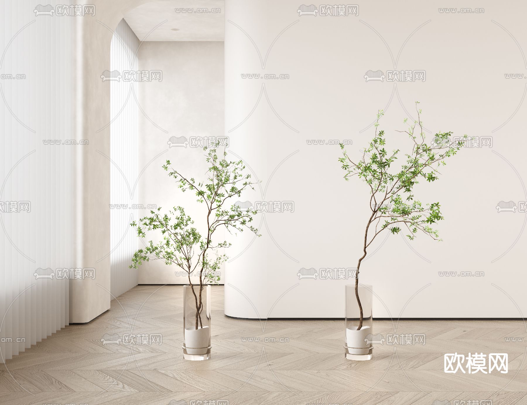 水生绿植 水培植物3d模型下载