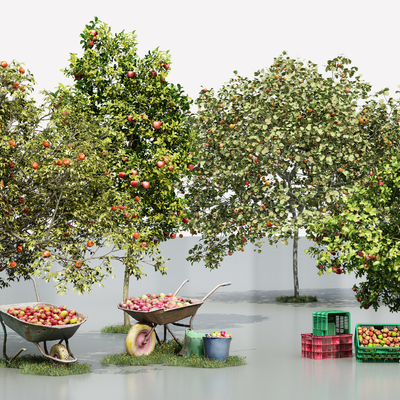  苹果树 苹果园 果树su模型 