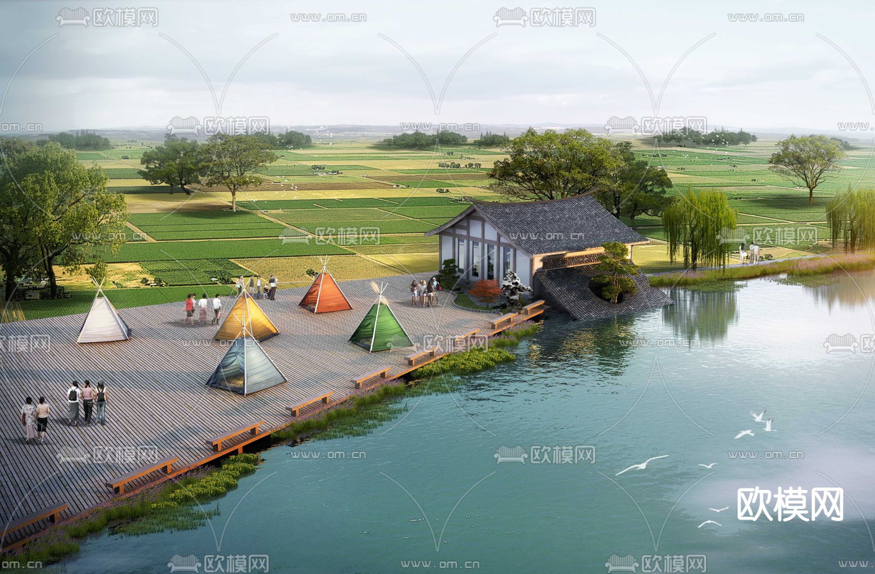 湿地园林景观PSD下载