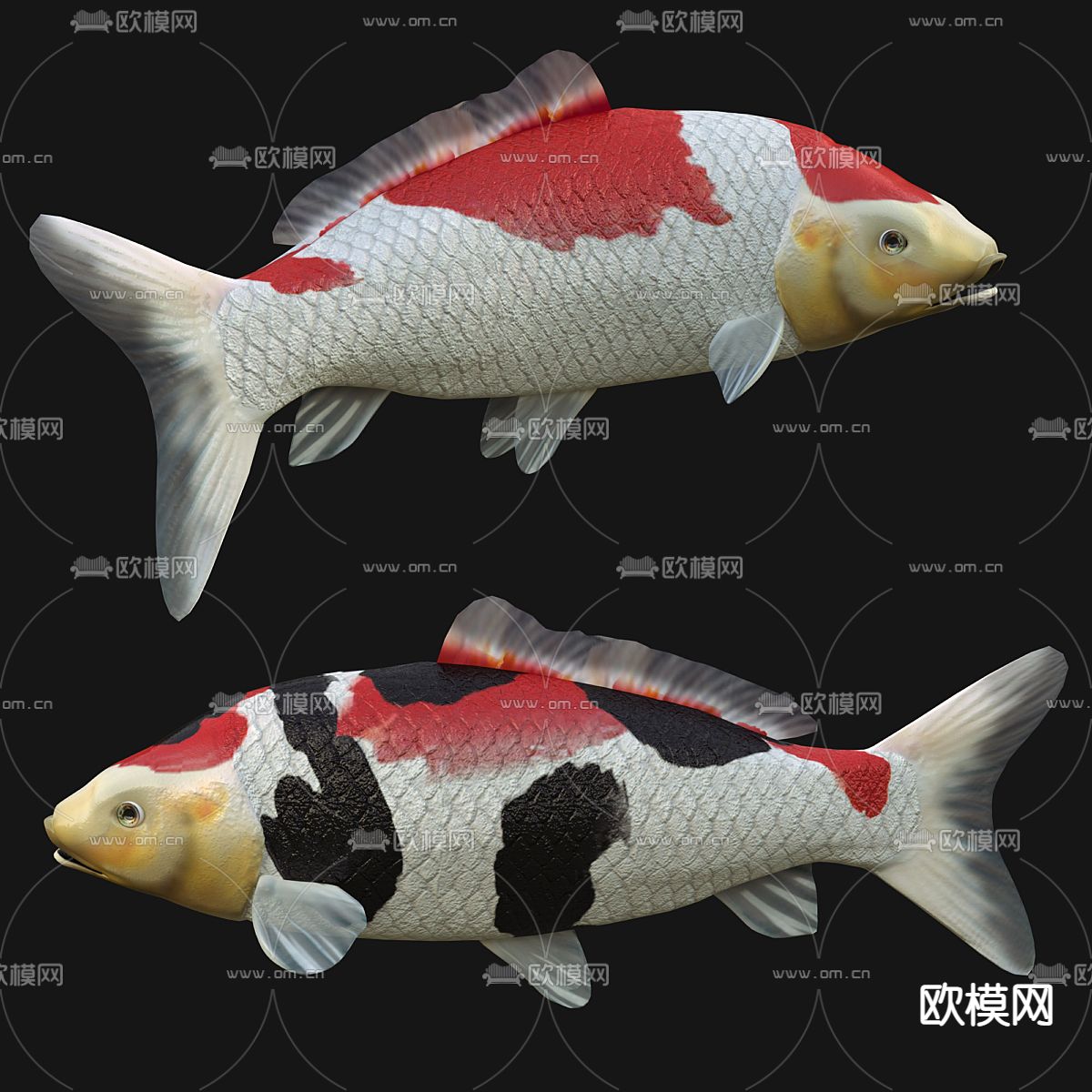 动物 鱼类金鱼3d模型下载