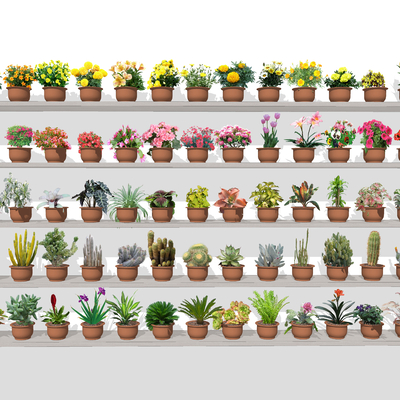 现代鲜花盆栽2d组件su模型