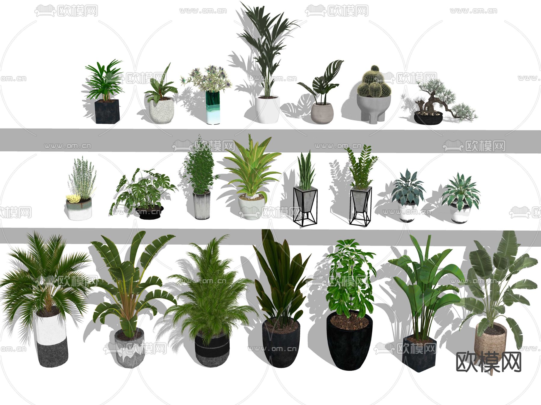 现代植物盆栽su模型