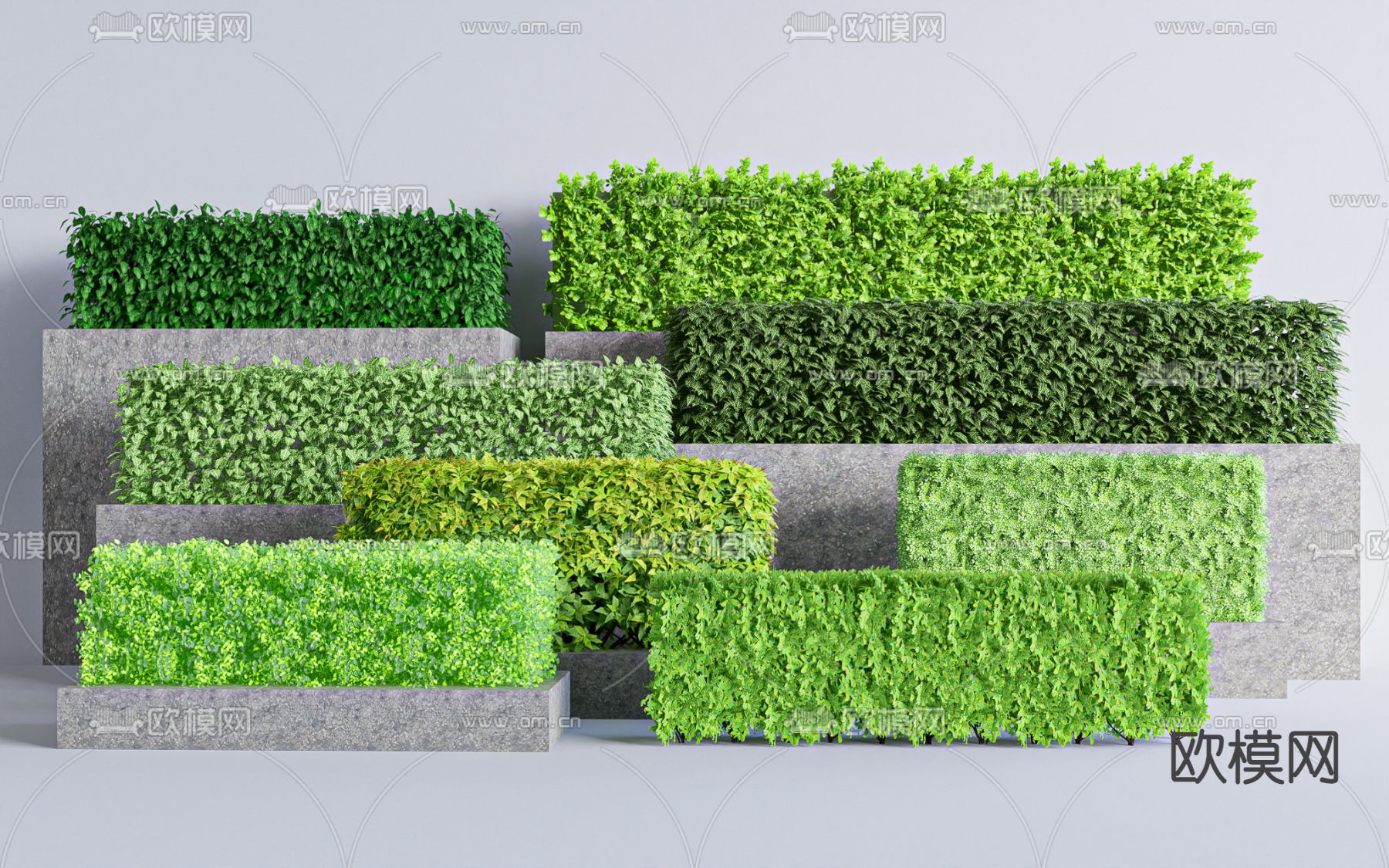 现代灌木绿篱su模型下载（渲染图1）