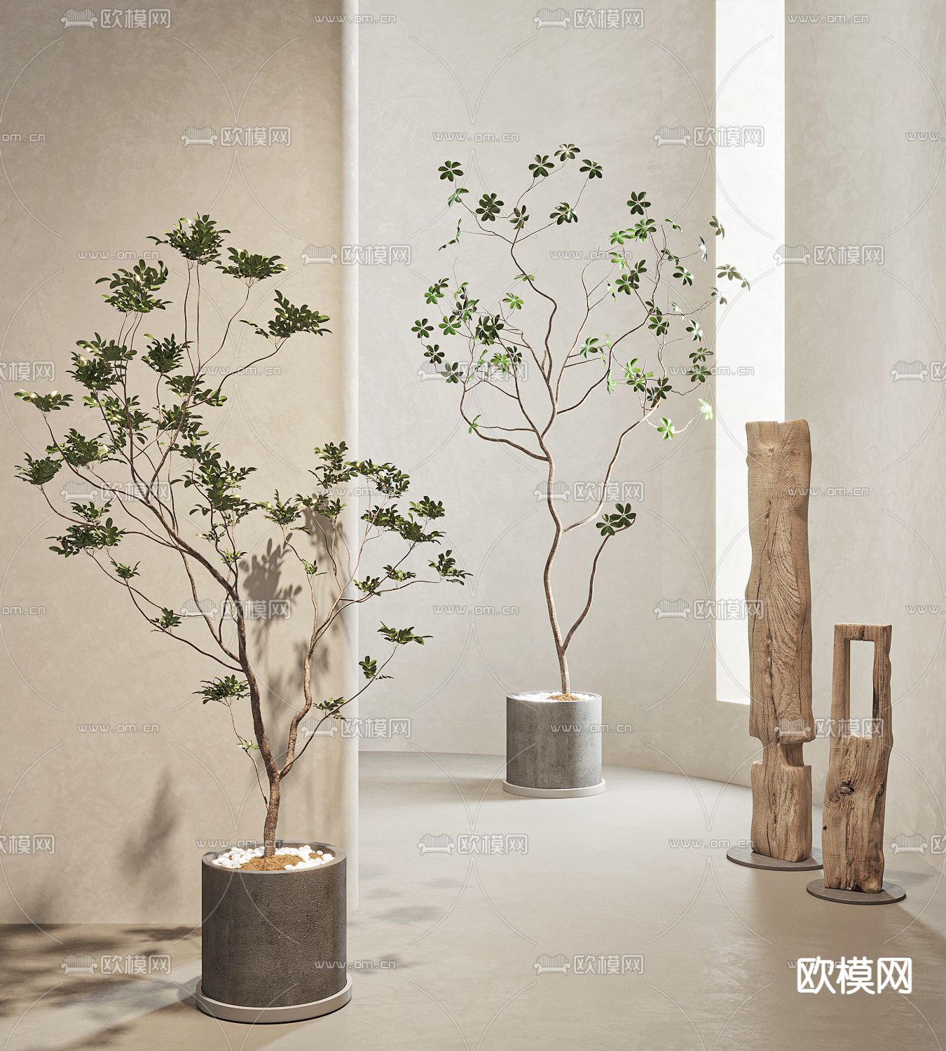 现代绿植盆栽 盆景su模型下载（渲染图1）