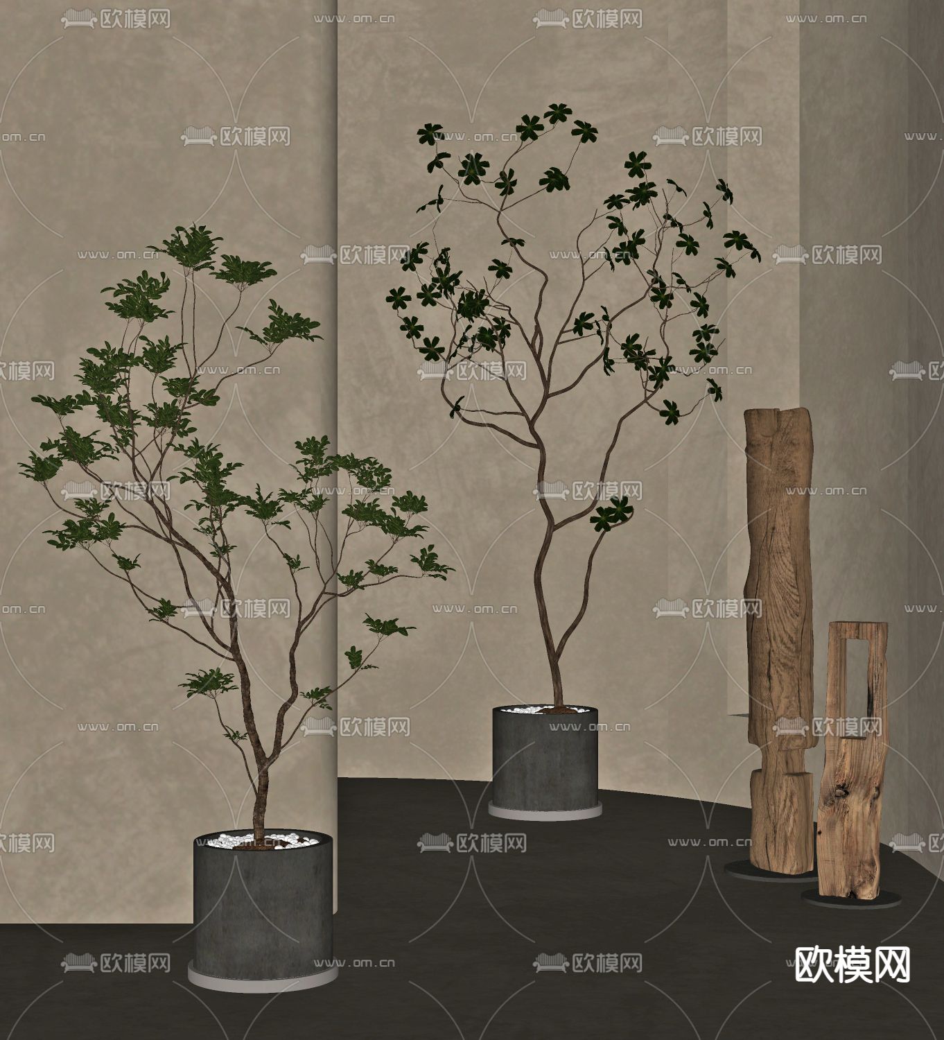 现代绿植盆栽 盆景su模型下载（渲染图2）