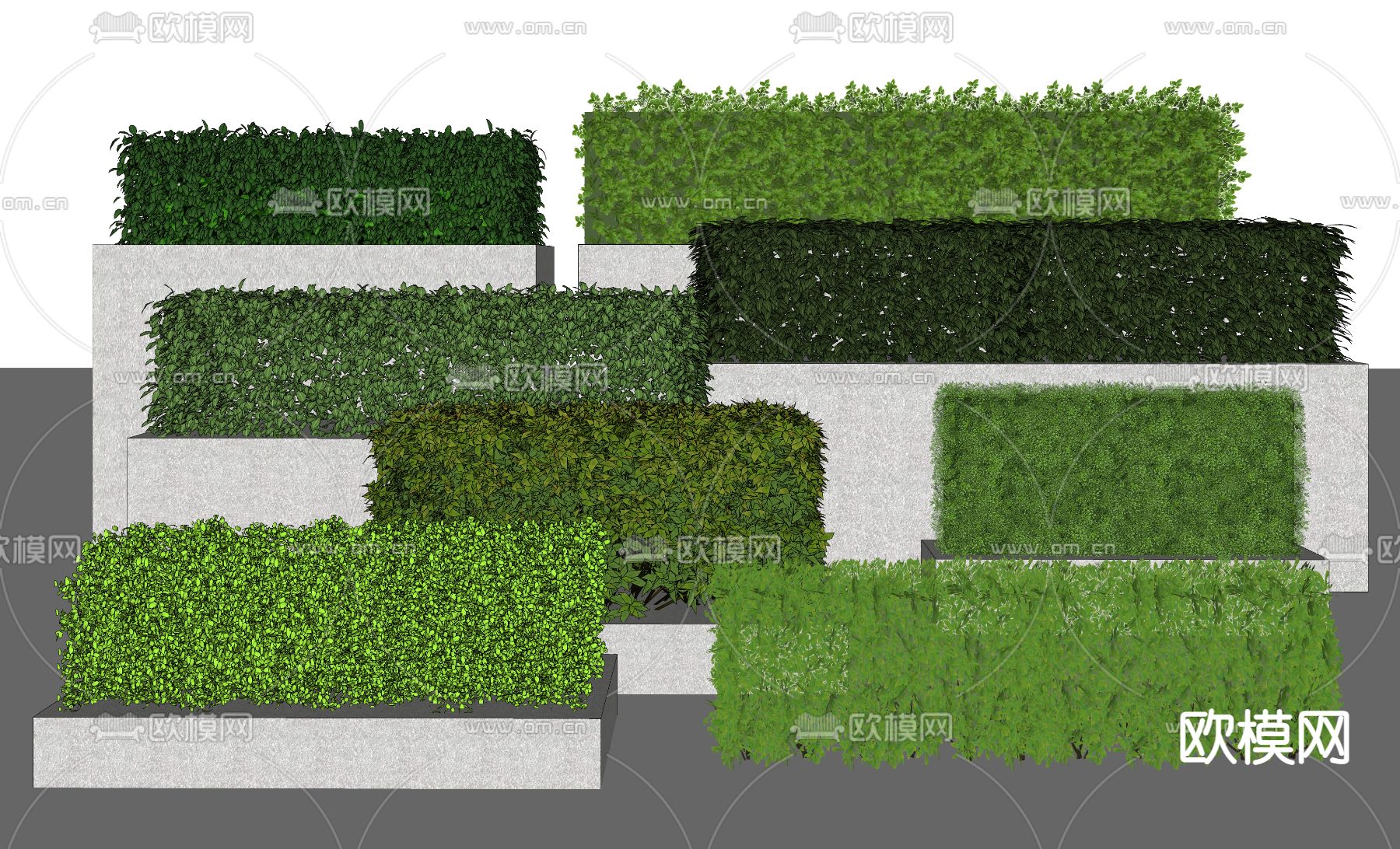 现代灌木绿篱su模型下载（渲染图2）
