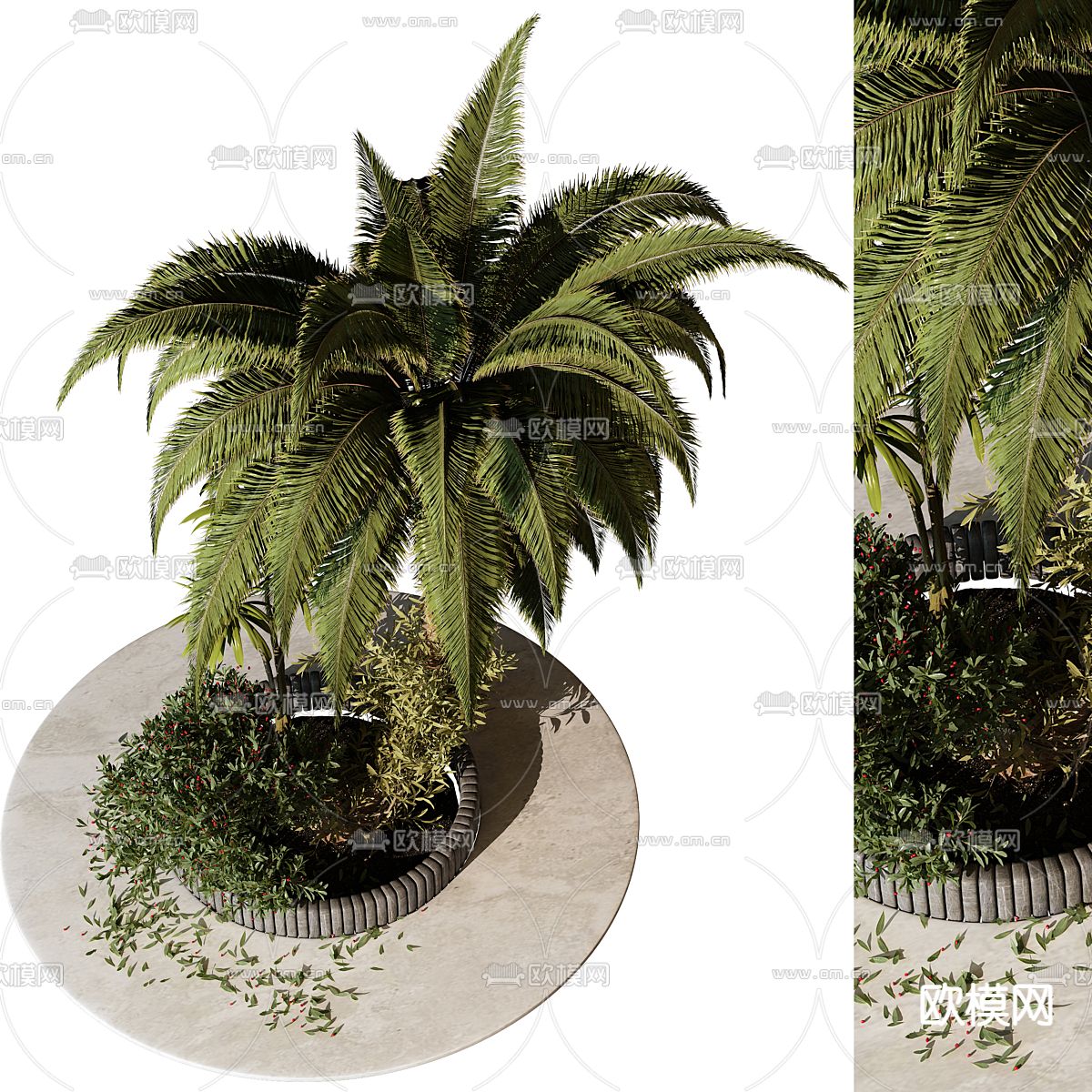 植物堆 树池 花坛3d模型下载（渲染图2）