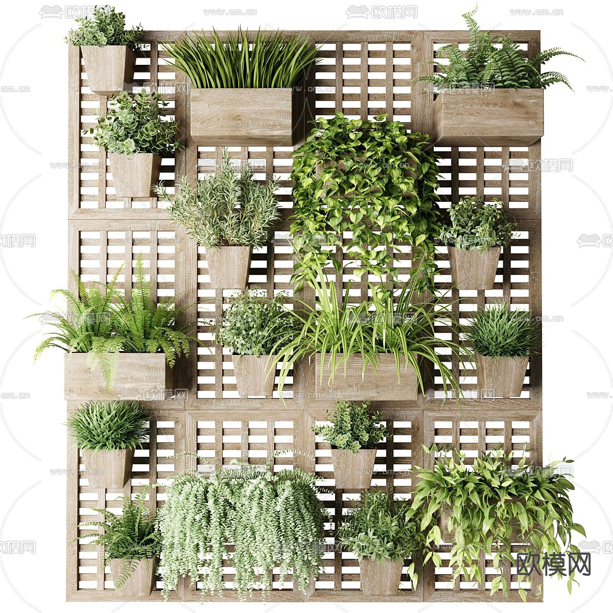 吊篮 盆栽 植物墙3d模型