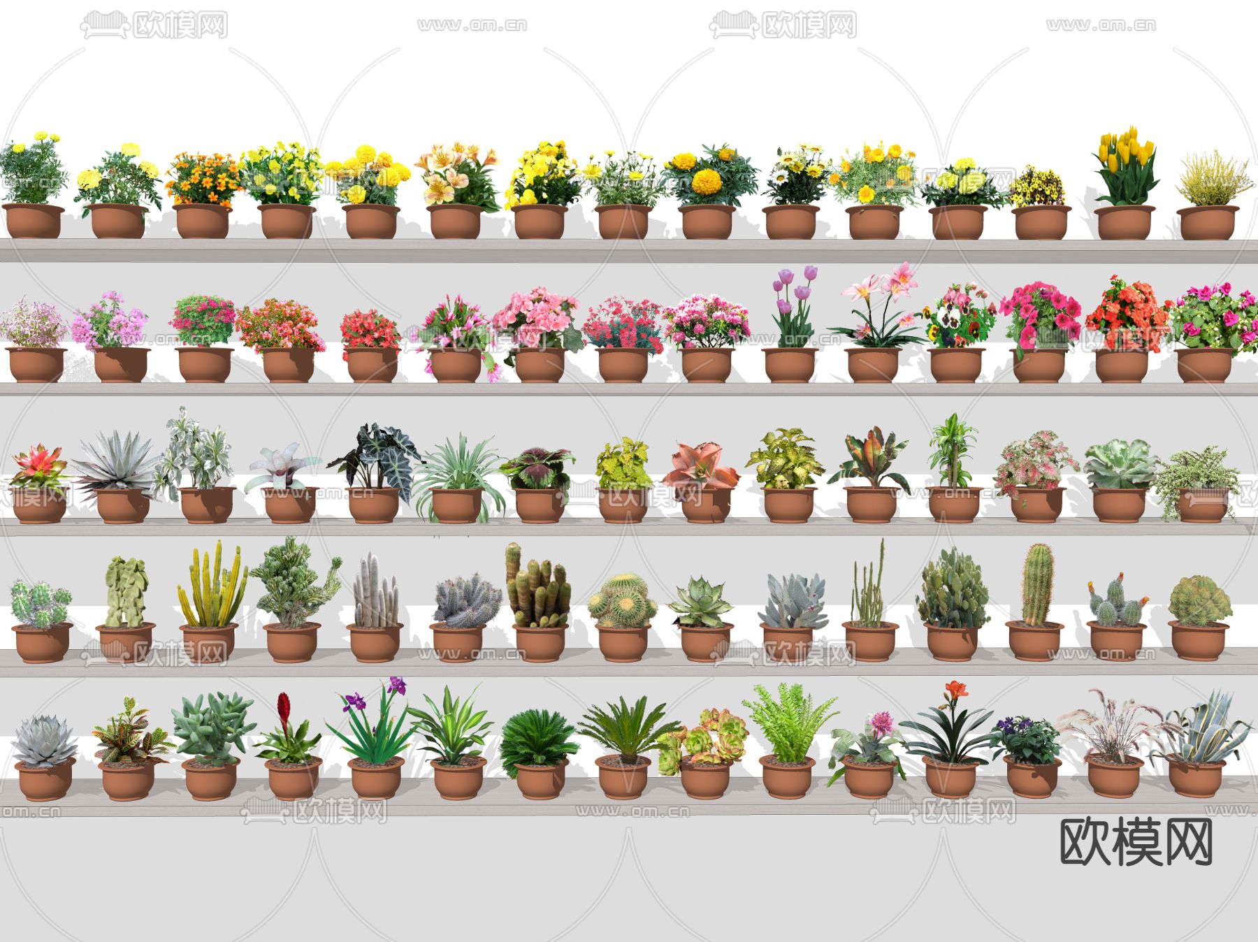 现代鲜花盆栽2d组件su模型