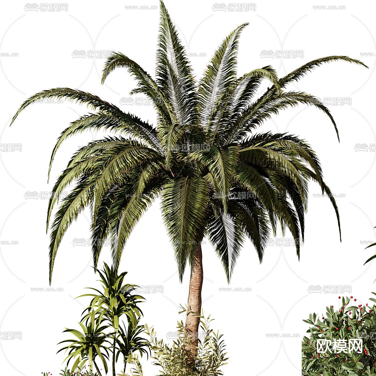 植物堆 树池 花坛3d模型下载（渲染图3）